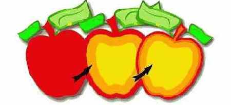 �������� ������� ��� ��������