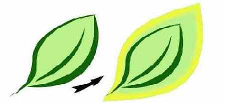 �������� ������� ��� ��������