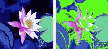 ����� ����������� ���������� ���������� ������