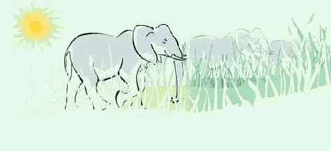 ������������ ��������