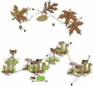 ����������� ����� ����������� ������ ���� ����� ���������� ������� ����