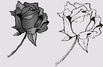 ����������� (�����) � ��������� (������) �����������