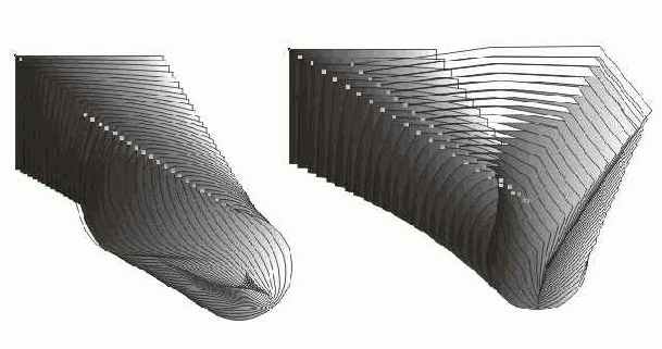 �������� �����������