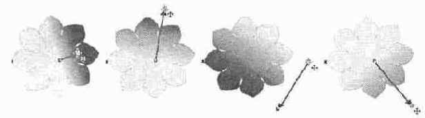 ��������� ����� � ����������� ��������� ���������