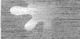 ����� ������������ Bleach