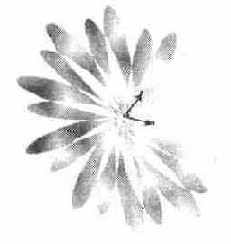 ��������� ������������