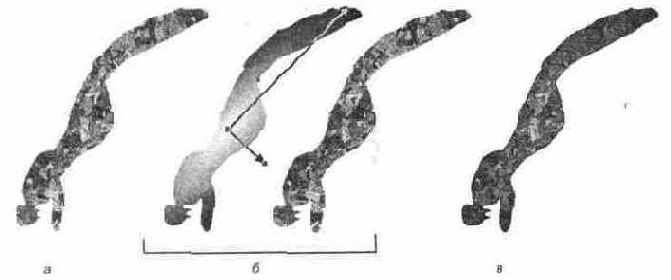 ������� ������ ��������