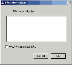 ���� File Information