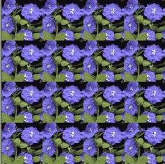 ������� ������� ������ ��������� ��������� ��������