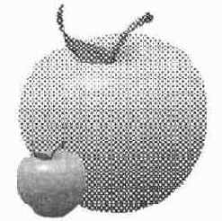 Линейные растры