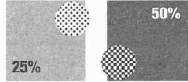 Цифровые растры