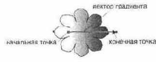 Градиентные заливки Линейный градиент