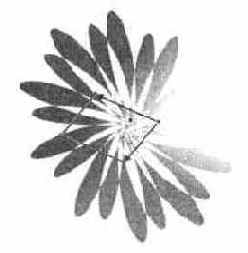 Создание цветка