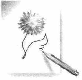 Создание листа бумаги и тени