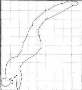 Создание контура стрекозы