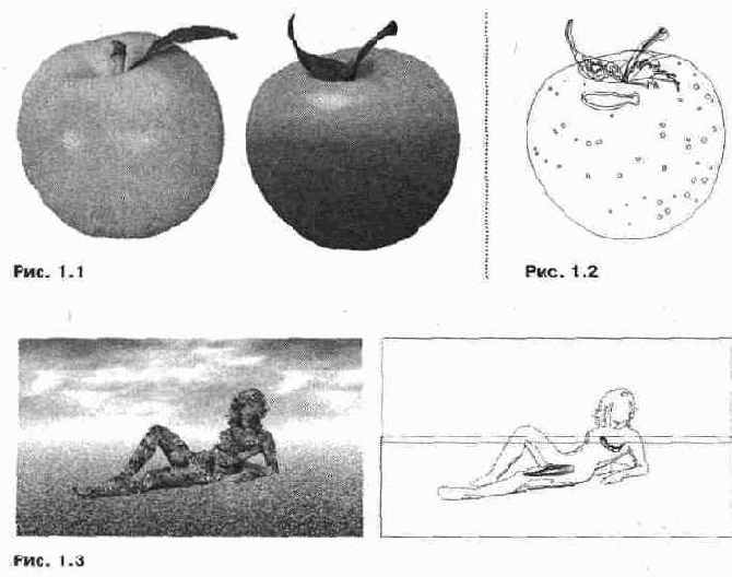 Первое знакомство