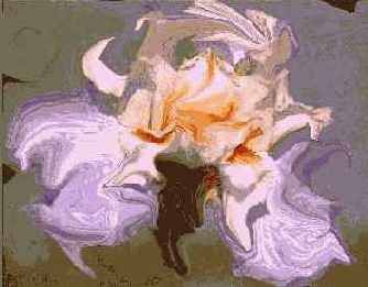 ���������� ���� Liquid Lens