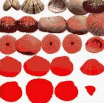 ������ ���� � ���������� �����