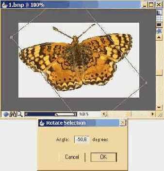 �������� � ���������� ���������