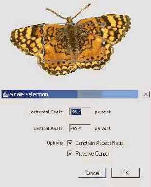 �������� � ���������� ���������