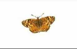 �������� � ���������� ���������