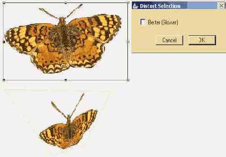 �������� � ���������� ���������