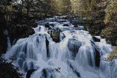 ���������� ����������� ���� Posterize