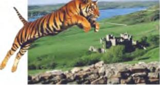 Гриднев И. - Рывок кельтского тигра