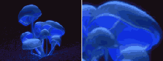 ��������� ����������� ������ � ����������� ��������; ������ � ����������� � ��������� ���