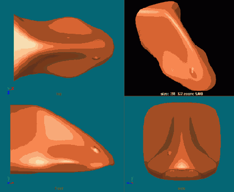 ����������� ��� � ����� �������������