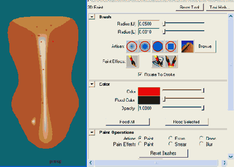 ������������ �������� ���������� ������������ ����������� ���������