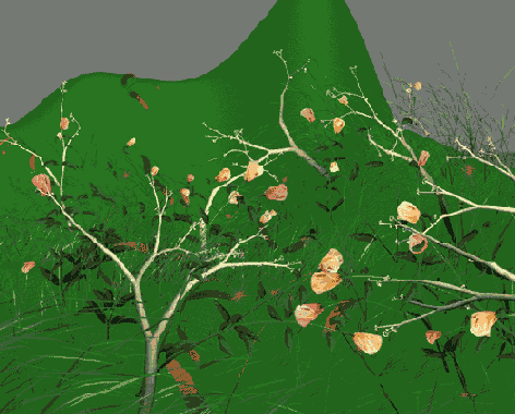 ��� � ����� � ��������