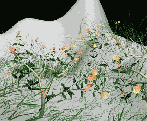 ������ ��������� ������� �����