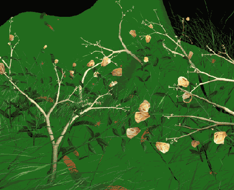 ��������� ��������������� � ������