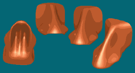 ��� � ����������