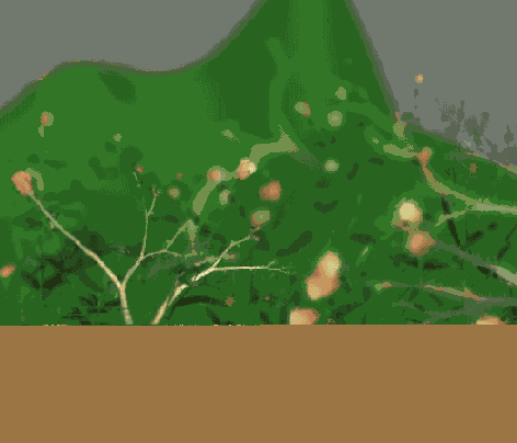 ����� ��������������