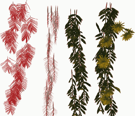 ����� ��������������