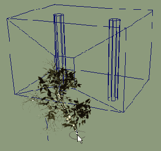 ���� �� ��������