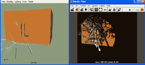 ���� �� ��������