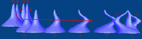 ���� �� �����!