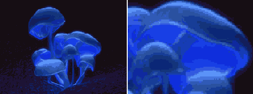 ��������� ����������� ������ �