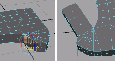 ���� � ����� ����������������� �������� � ���������