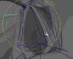 �������� ���� ����