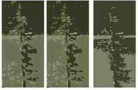 ��������� ���������� ������� Trace Bitmap � ������� �����������