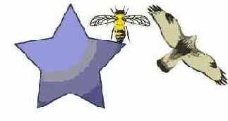 ������������ �� �������� ����