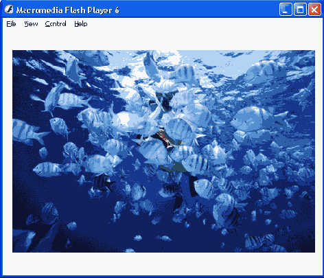 ������ Flash������ ���������� �� ������ �������