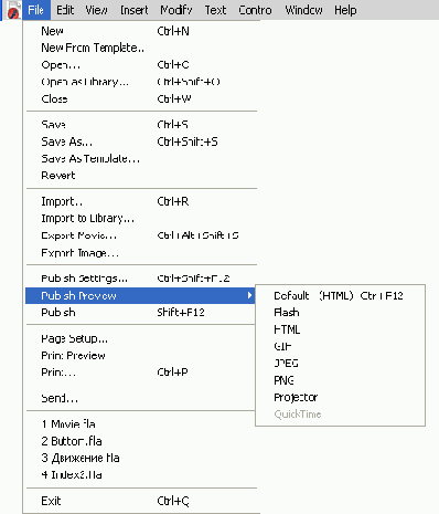 ������ ���� Publish Prewiev ���