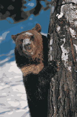 ��������� ���������� � ���������