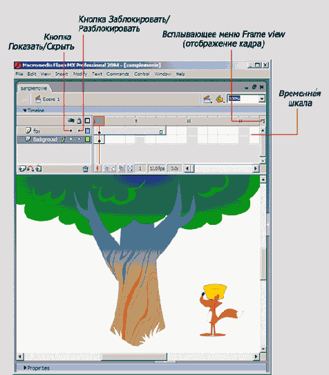 ������� ���� �������� ������� ���������� Flash