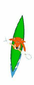 Второй кадр ролика лисы содержит